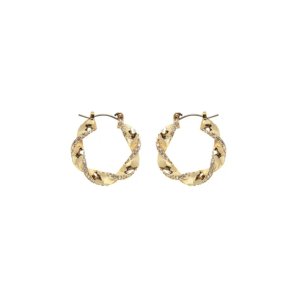 Hoop Earrings